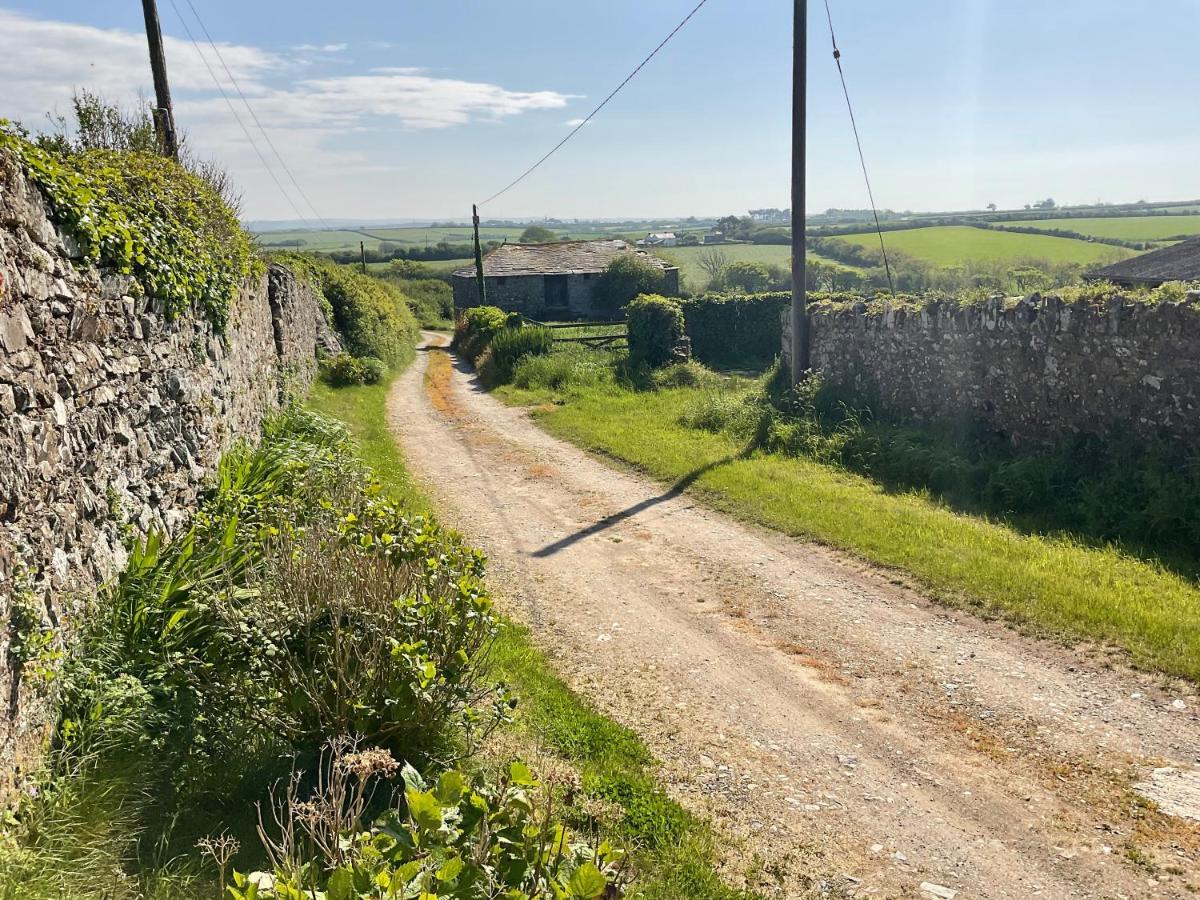 Gasthaus Burrow Park Farmhouse Port Isaac Exterior foto